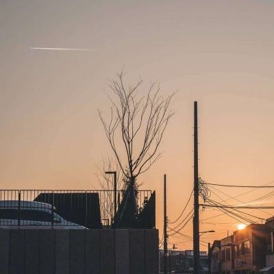 246天天好彩app下载